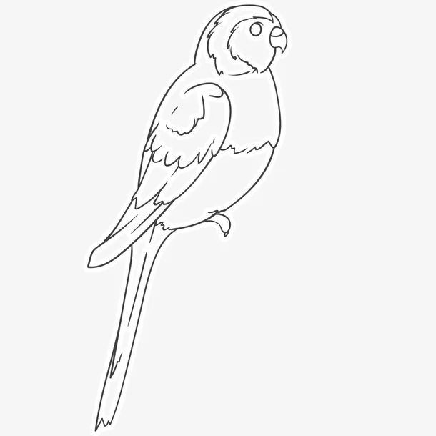 小鸟简笔画免抠