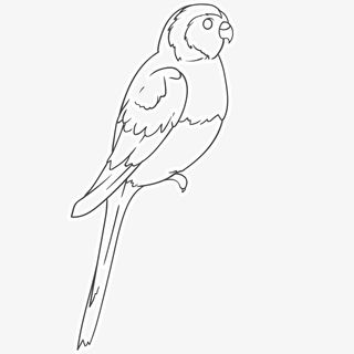 小鸟简笔画免抠