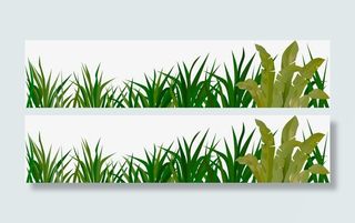 绿草装饰边框免抠