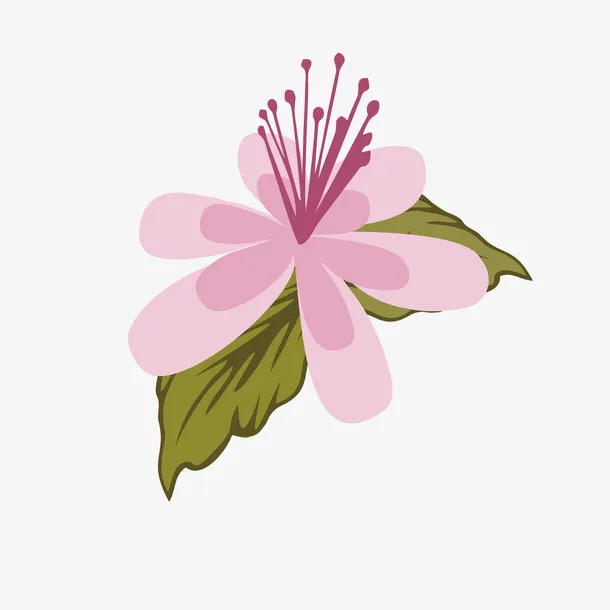 带两片叶子绽放的杜鹃花瓣矢量免抠