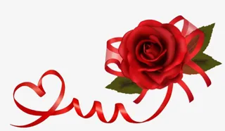 玫瑰花 花包免抠