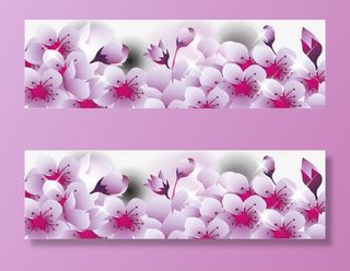 樱花边框底纹免抠动植物植物元素