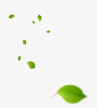绿色清新落叶漂浮素材免抠