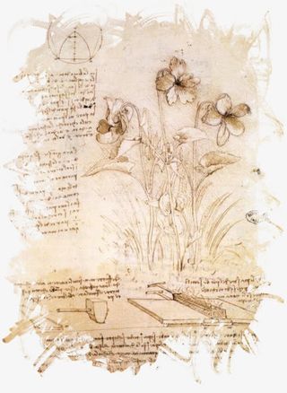 复古纸花纹免抠