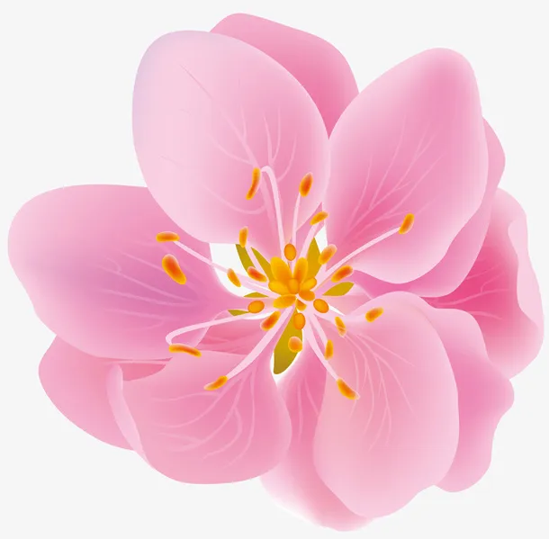 春分装饰元素手绘粉色桃花樱花免抠