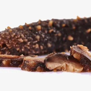 海参免抠素材免抠