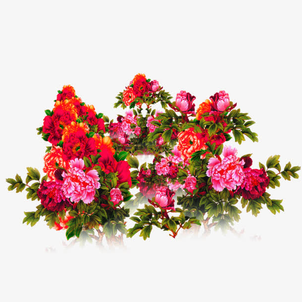 花簇免抠