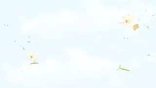 淡蓝白云白花漂浮背景