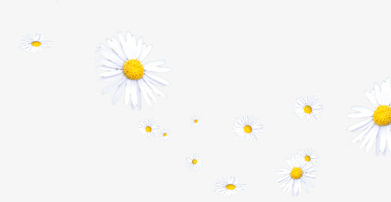 鲜花免抠