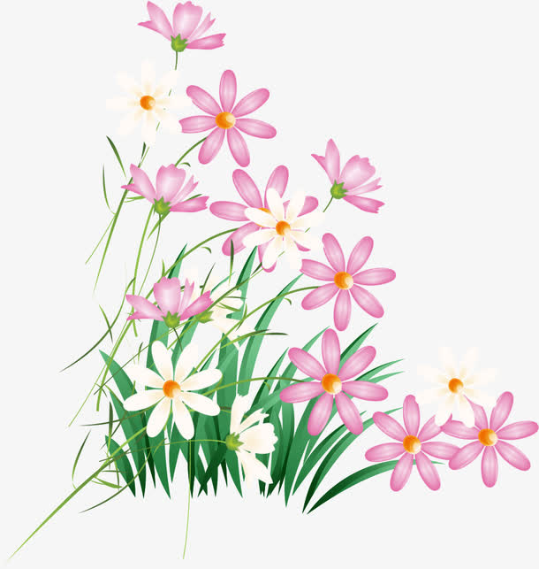 手绘花卉免抠