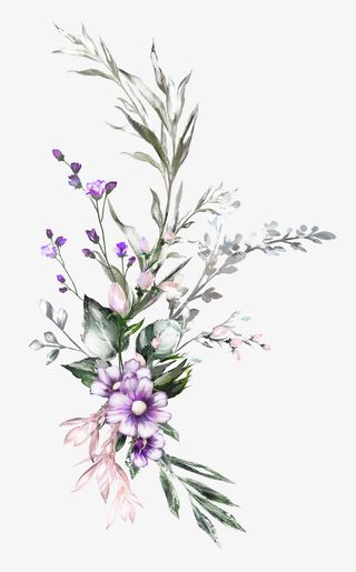 手绘植物花卉花草免抠