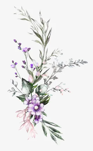 手绘植物花卉花草免抠