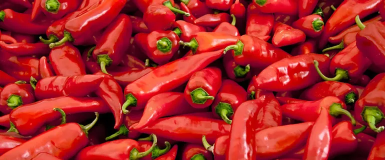 辣椒背景高清