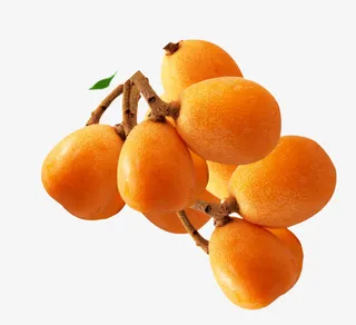 枇杷素材图片免抠