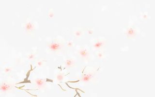 粉色淡雅唯美花朵树枝免抠