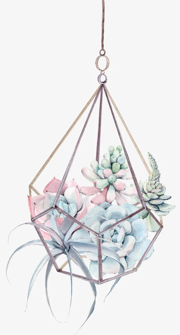 手绘卡通多肉组合吊篮免抠