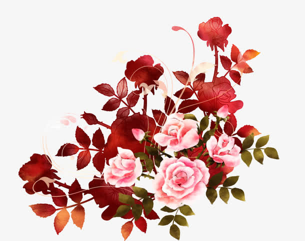 玫瑰花免抠