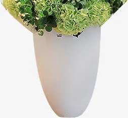绿色春天植物盆栽免抠