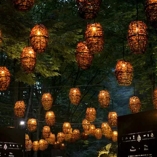 唯美庭院灯景高清