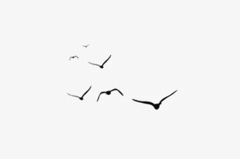 大雁鸟类漂浮装饰免抠