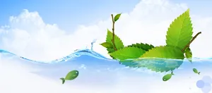 树叶船清新背景banner