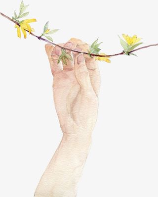插画纤细的手免抠