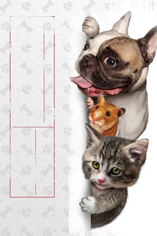 卡通可爱萌宠之家高清