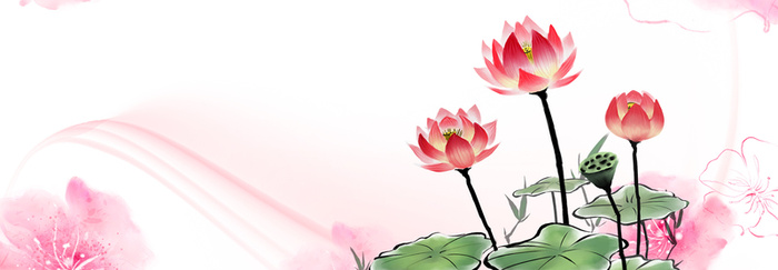 灿烂荷花海报banner背景高清