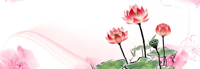 灿烂荷花海报banner背景高清