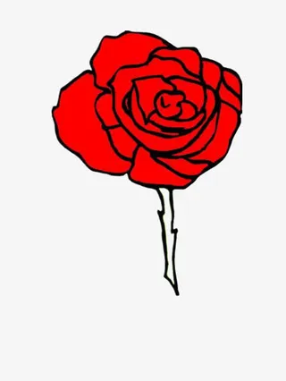 娇艳的红玫瑰免抠