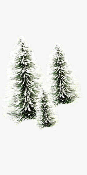 冬日梦幻雪松装饰免抠