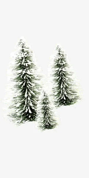 冬日梦幻雪松装饰免抠
