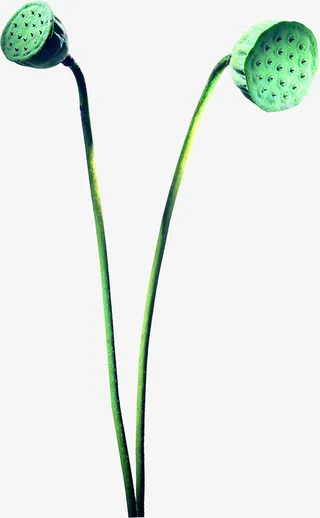 古风免扣素材46免抠