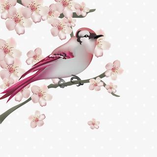 矢量樱花开免抠