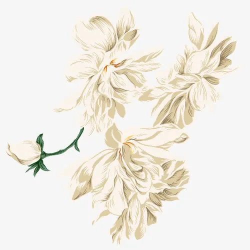 素材花免抠