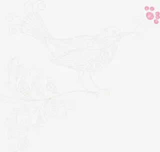 手绘花纹小鸟免抠