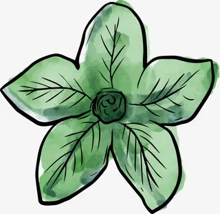 手绘水彩花卉免抠