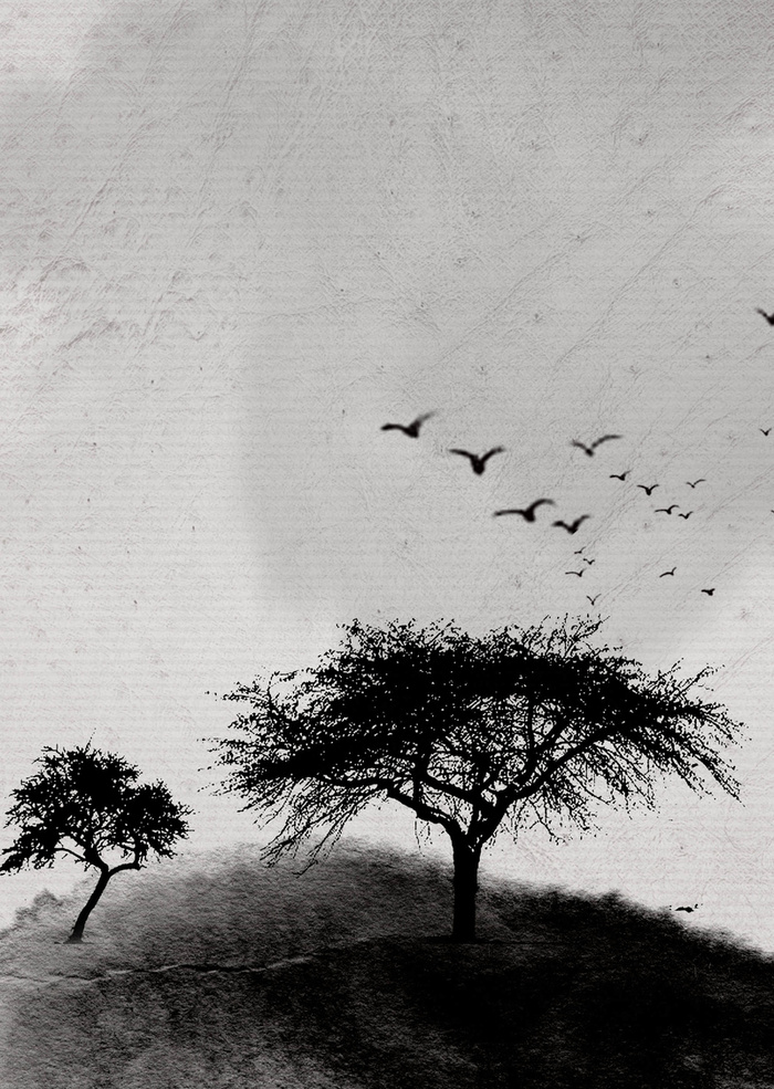 黑色大树剪影海报背景高清