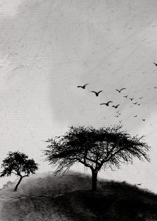 黑色大树剪影海报背景高清