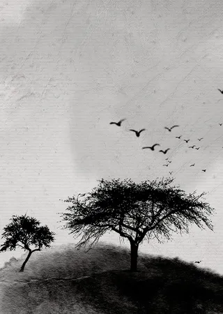 黑色大树剪影海报背景高清