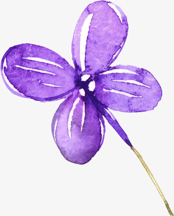 漂浮花免抠