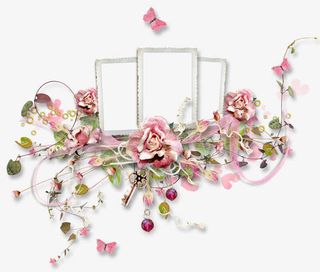 花叶创意相框免抠