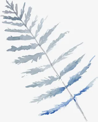 手绘植物PNG下载免抠