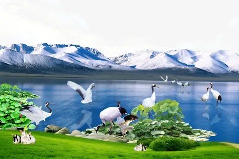 美丽的天池免抠