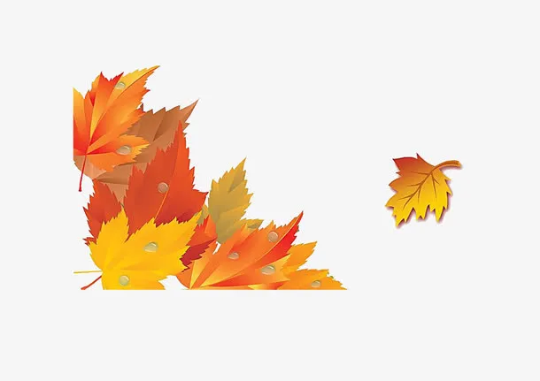 秋天的枫叶免抠