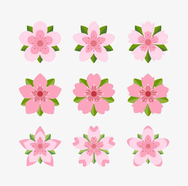 粉色带叶子樱花免抠