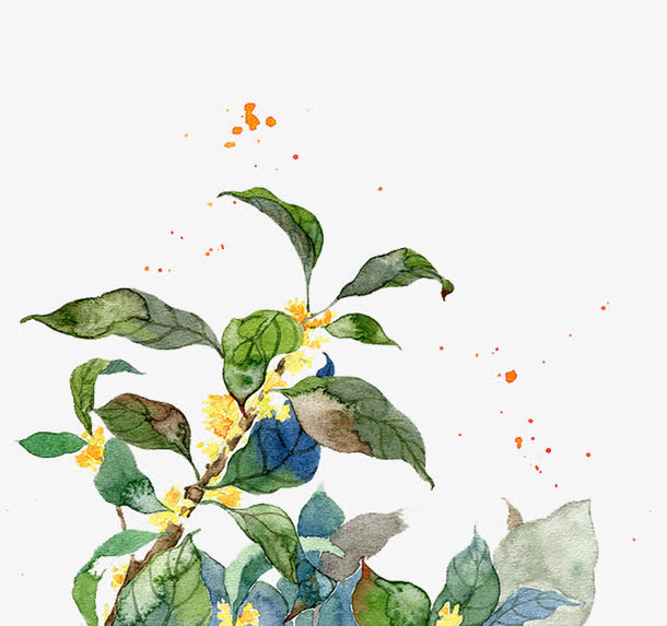 桂花免抠