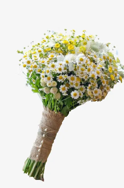 满天星雏菊花束免抠