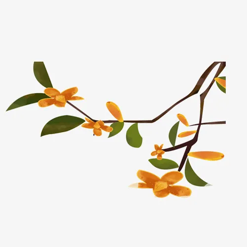 手绘桂花秋天古风免抠
