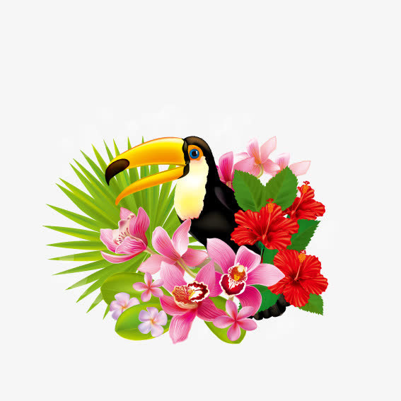 花朵喜鹊免抠
